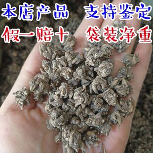 正品河南猫爪草 纯天然水洗晒干无硫煲汤泡茶包邮