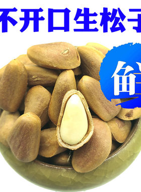 新疆包邮生松子新货东北特产野生特大新鲜红松子原味不开口散装50