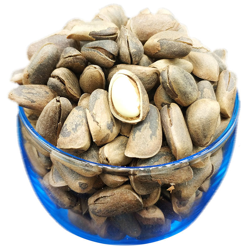 松树屯红松子今年新货东北特产开口松子原味手剥坚果大粒松子500g