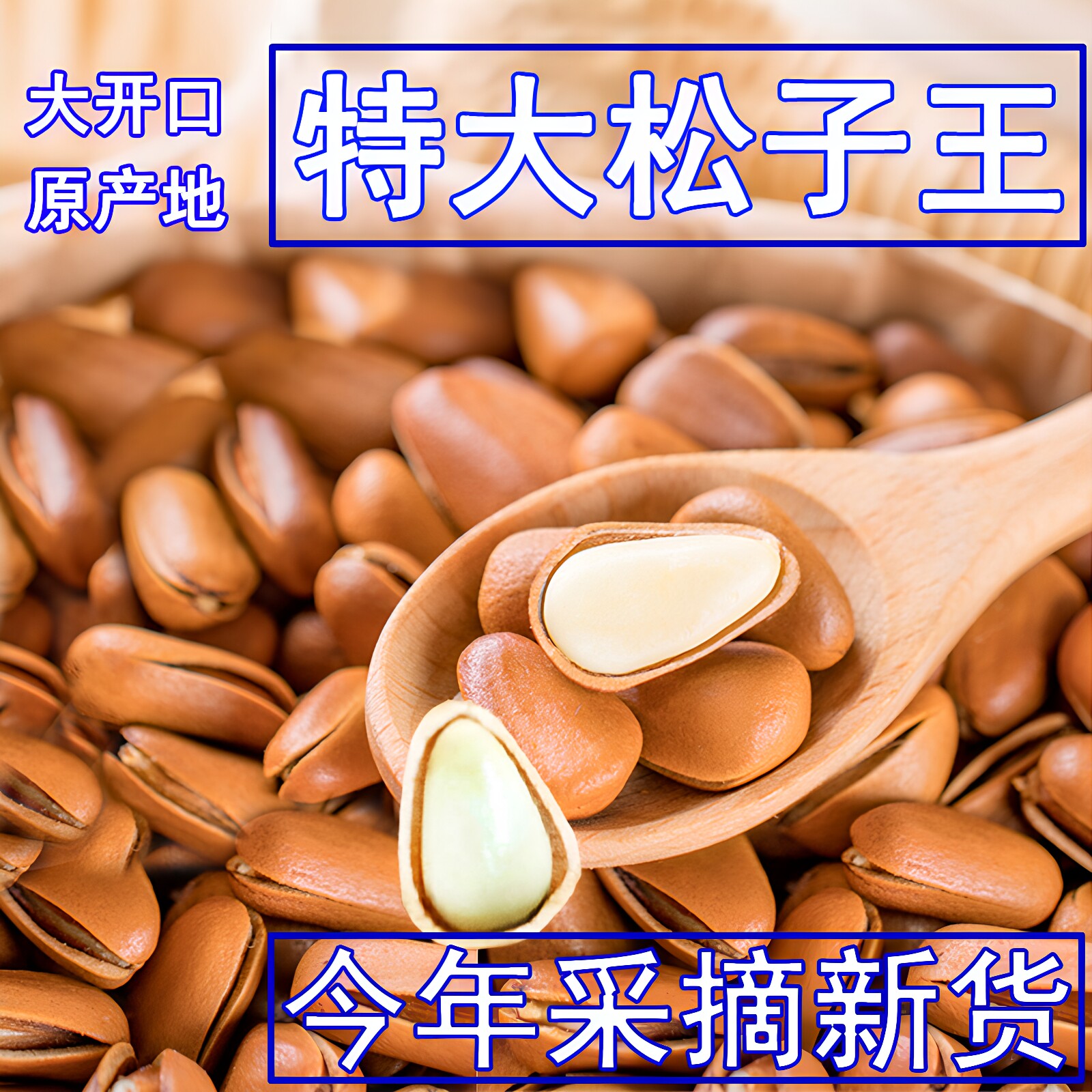 新货开口松子东北手剥原味坚果松树屯特大颗粒大红松子新松子500g