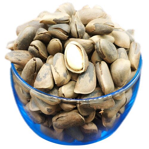 松树屯东北红松子开口新货500g