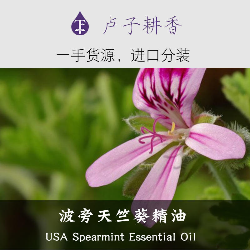 波旁天竺葵精油10ml单方埃及护肝胰 平衡荷尔.蒙收缩毛孔女性