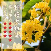 提亮5星 脸部复方按摩油 面部护肤金桂 桂花大白油 强烈推荐