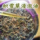 积雪草浸泡油 雷公根基础油舒缓修复滋养面部身体