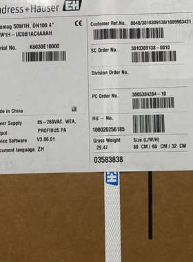 E+H恩德斯豪斯 Promag 50W1H， DN100 4\