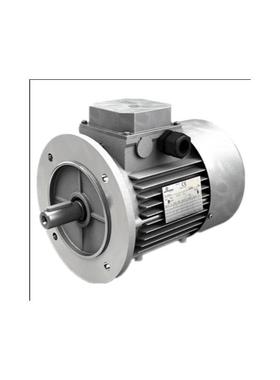 供应DRDRIVES三相异步交流电机TS100LA4 2.2KW 三相异步进口询价