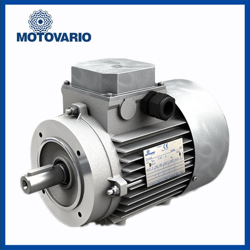 意大利MOTOVARIO电机TS112MS4 B5 4.3KW 意大利摩多利三相异询价
