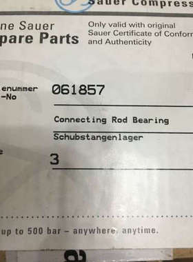Sauer&Sohn Connecting Rod Bearing Sauer Compressors 061857议