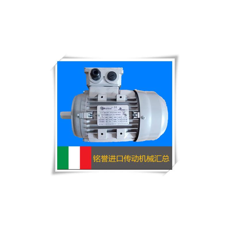 现货MOTOVARIO电机 摩多利三相异步电机T63A4 0.12KW B3/B5/B询价
