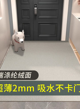 超薄入户地垫2mm不卡门高端编织进门脚垫门垫可机洗吸水防滑地毯