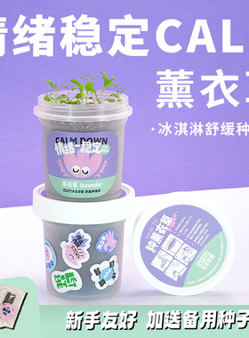 原创薰衣草解压情绪稳定种植盆栽办公桌趣味植物创意治愈生日礼物