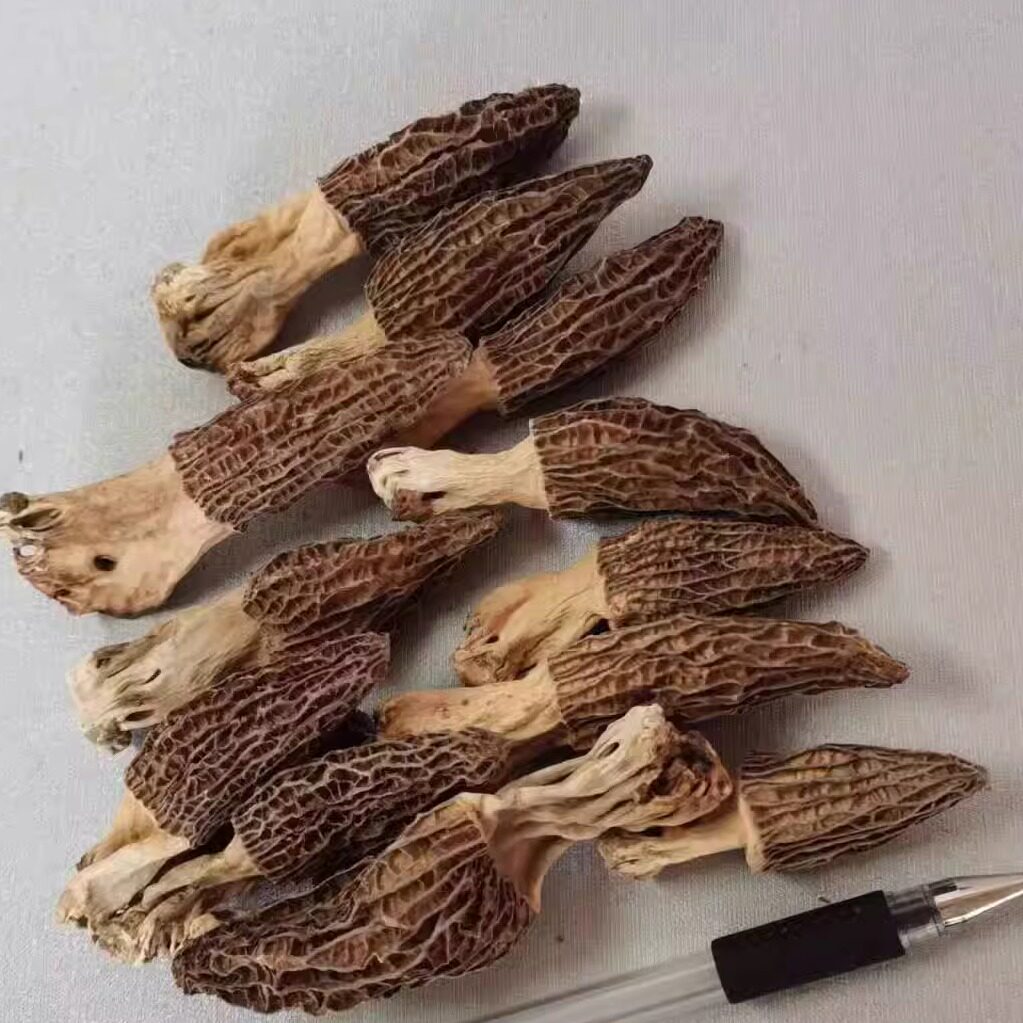 河南南阳西峡土特产干货种植羊肚菌一斤装