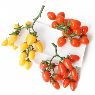 仿真圣女果西红柿 龙眼荔枝串 假水果 果篮果盘蔬果装饰品模型