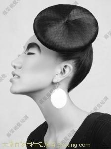 Extension cheveux - Chignon - Ref 249368 Image 4