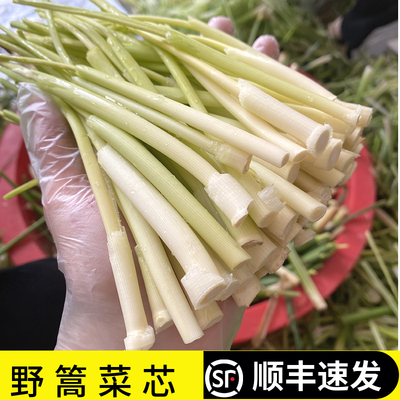 顺丰包邮蒲菜新鲜时令野菜茭白湖北特产蒲笋蒲儿菜净菜篙菜高菜芯