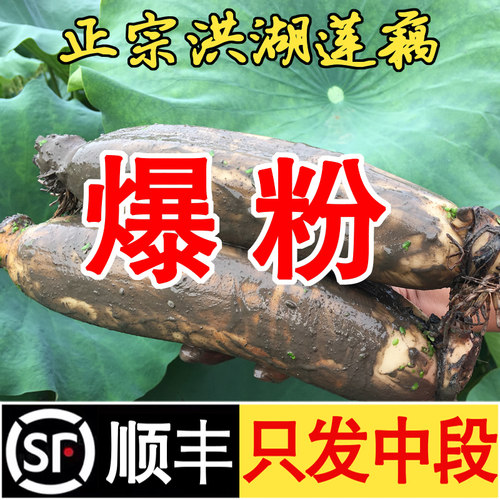 【口碑NO1】无限回购洪湖粉藕