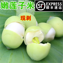 洪湖莲蓬新鲜嫩莲子水果生吃零食湖北特产现摘去壳莲子米包邮顺丰