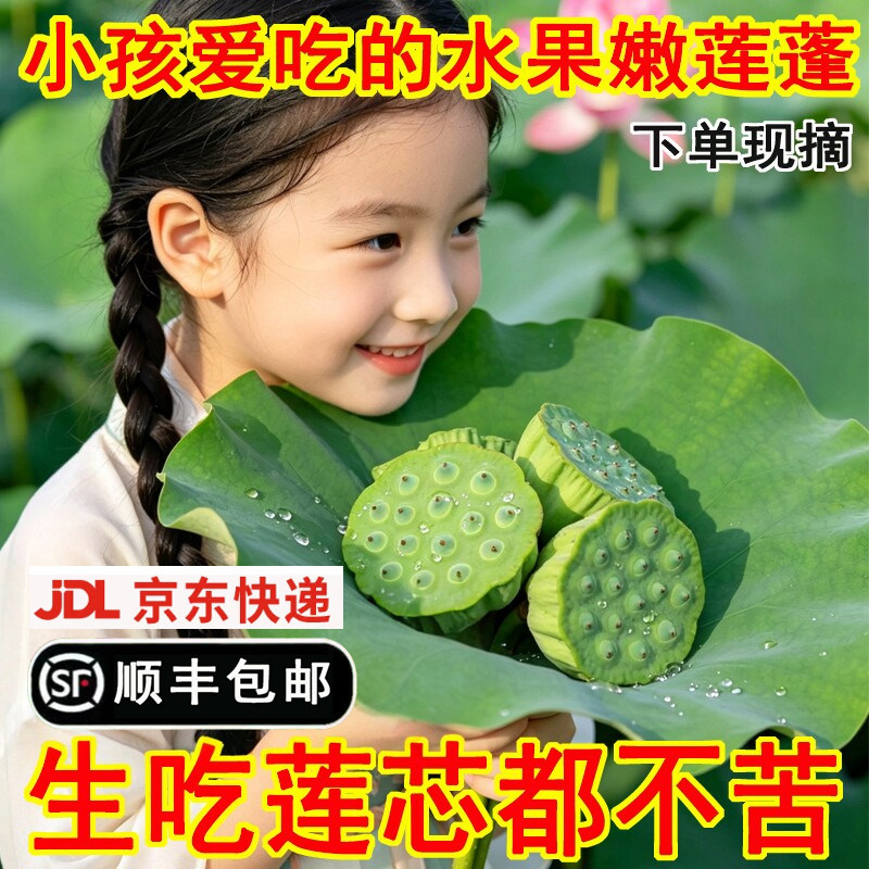 洪湖莲蓬新鲜嫩莲子水果生吃零食湖北特产现摘带壳2/3斤顺丰京东