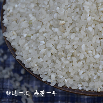 农家台儿庄特产涛沟桥大米贡米2025年新米梗米老品种圆粒11月始发