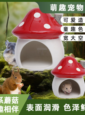 仓鼠龙猫松鼠夏季降温造景陶瓷窝