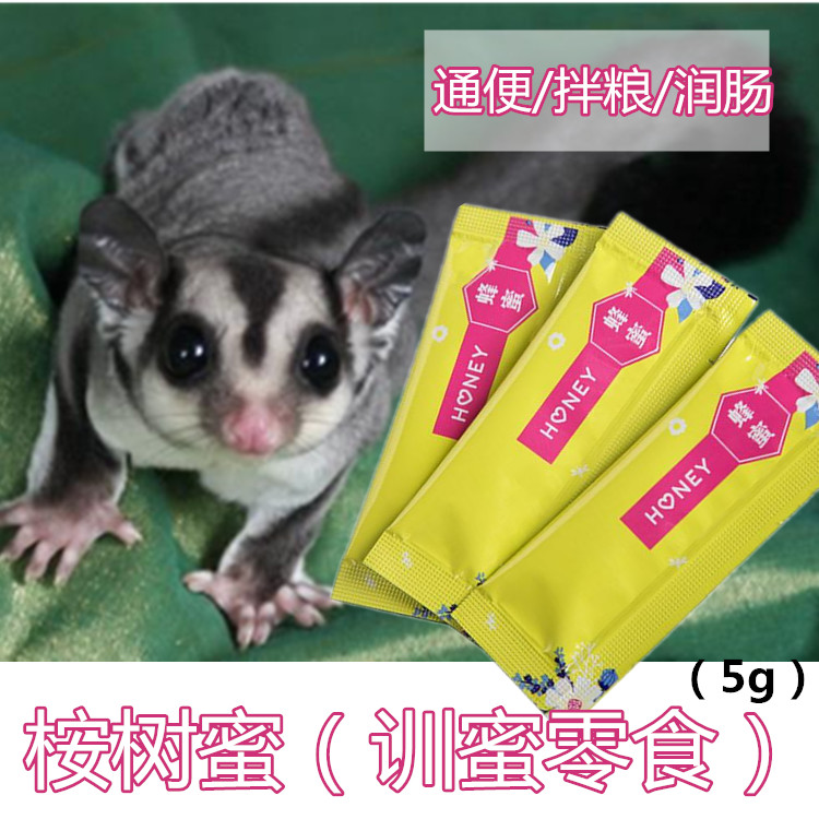 蜜袋鼯蜜粮粮食用品主粮主食零食食物饲料小宠野生桉树蜜蜂蜜