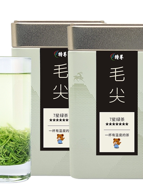 2026新茶明前毛尖绿茶嫩芽250g