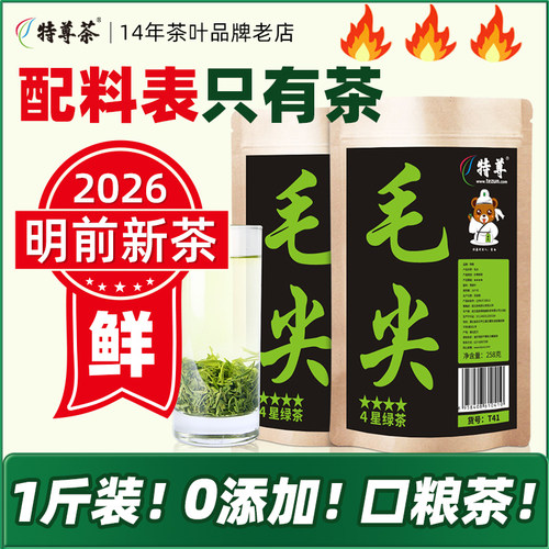 2026新茶口粮茶毛尖绿茶一斤装