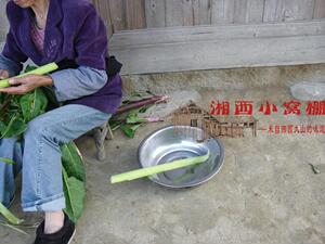 湖南湘西1500米高山野生新鲜野菜红杆子菜山珍