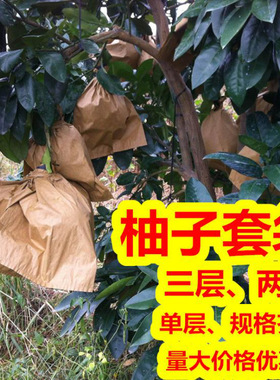 包邮沙田柚蜜柚套袋专用袋子防水防虫防鸟柚子袋纸袋刀把水果套袋