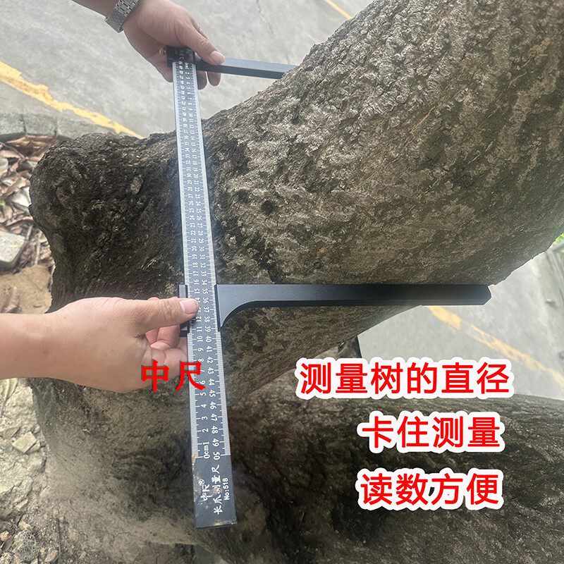 大树卡尺测量树木尺子长爪量尺树径尺量树量直径大卡尺轮胎卡尺