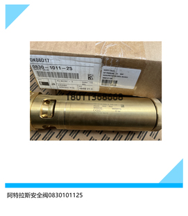 0830101125阿特拉斯空压机压缩机配件阀件维修件安全阀