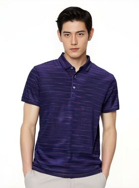 限时促销桑蚕丝棉翻领商务短袖T恤男士休闲舒适条纹体恤 法莱凯帝