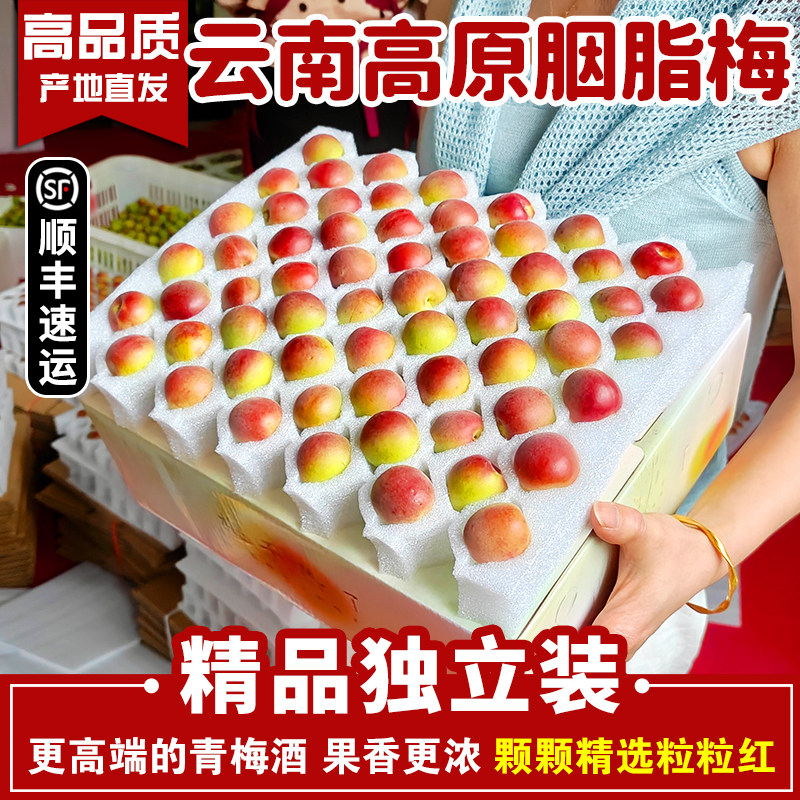 （精选独立装）云南高原胭脂红梅酵素梅青梅鲜果现摘红梅泡梅子酒