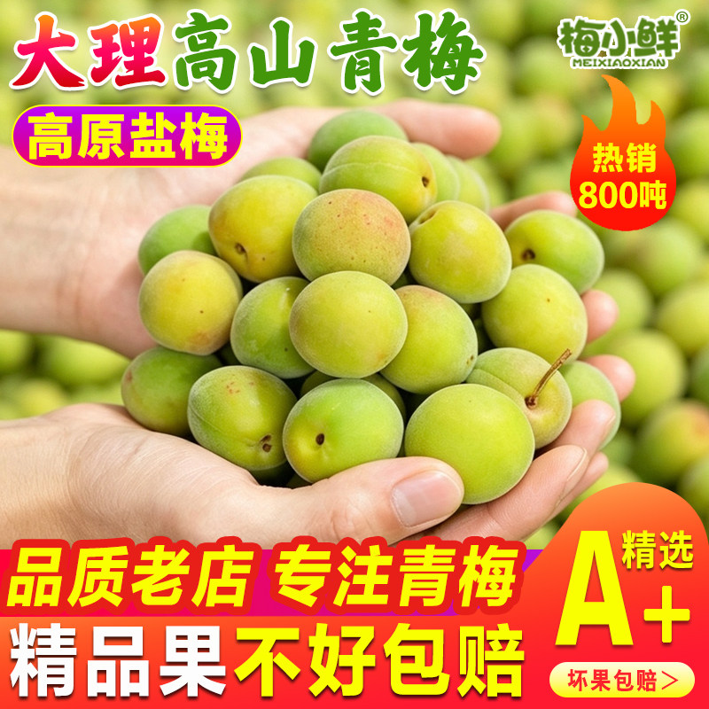 青梅鲜果新鲜青翠梅现摘云南高山散装生梅子泡酒生酸梅子酒酵素果