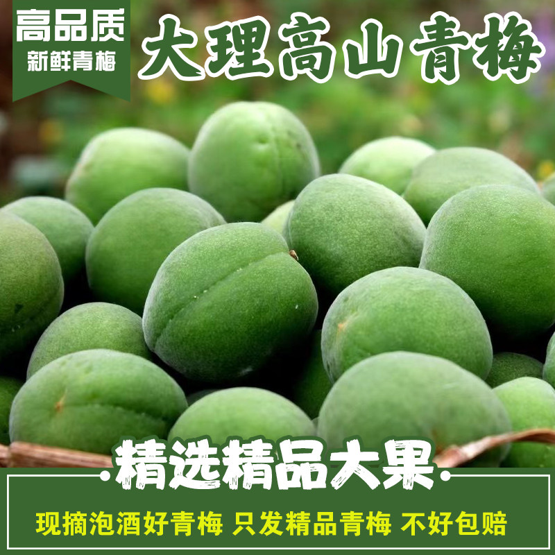 青梅鲜果新鲜精品大果深山现摘云南大理生梅子泡酒酵素酸梅鲜水果