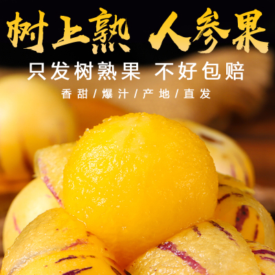 云南石林真树上熟人参果
