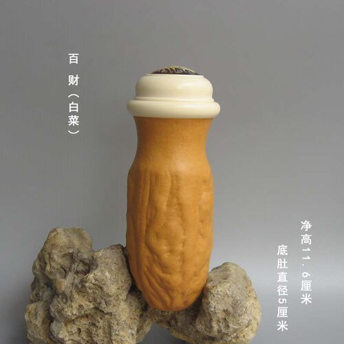 扎嘴葫芦虫具鸣虫葫芦罐