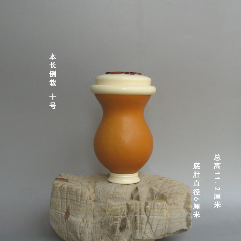 鸣虫用品竹蛉罐鸣虫葫芦虫具把件