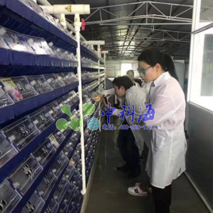 水质控制技术循环养蟹公寓式螃蟹养殖室内立体循环水青蟹大闸蟹