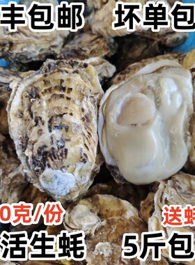 鲜活生蚝新鲜海捕肉肥5斤包邮