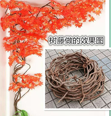 田园生态装饰墙壁吊顶树藤