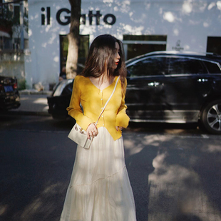 LadyBH2025秋冬黄色紫色v领通勤不规则设计感显瘦长袖 毛衣女 开衫