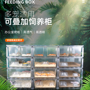 爬宠虫桌面爬柜A4A6盒宠物蛇龟玩具瘤尾豹纹巨人睫角守宫展示