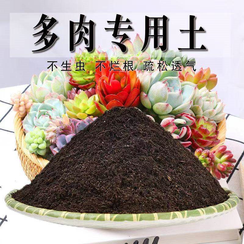 多肉专用土肉肉营养土盆栽土种植土多肉小苗土家用多肉土养花颗粒