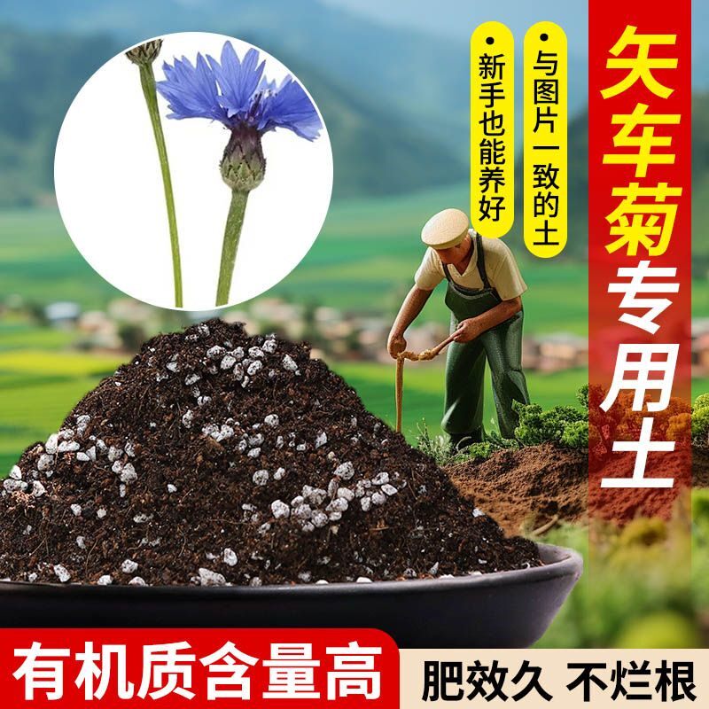 矢车菊营养土专用土透气疏松含泥炭肥料通用有机种植土适用土轻质