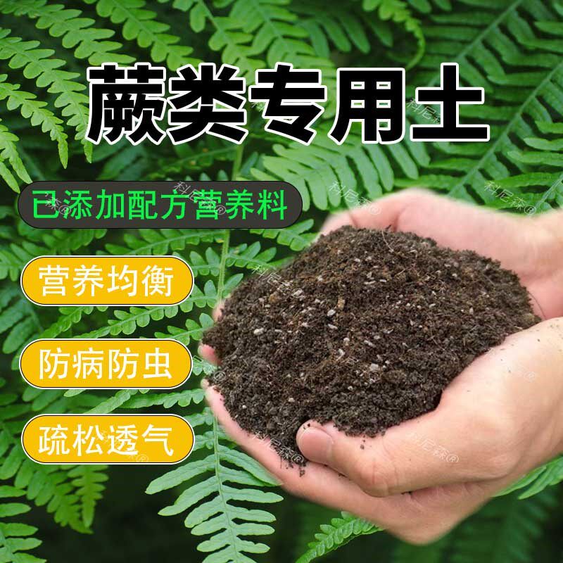 蕨类专用土绿植盆栽种植营养土花土通用型家用种花专用营养土泥土