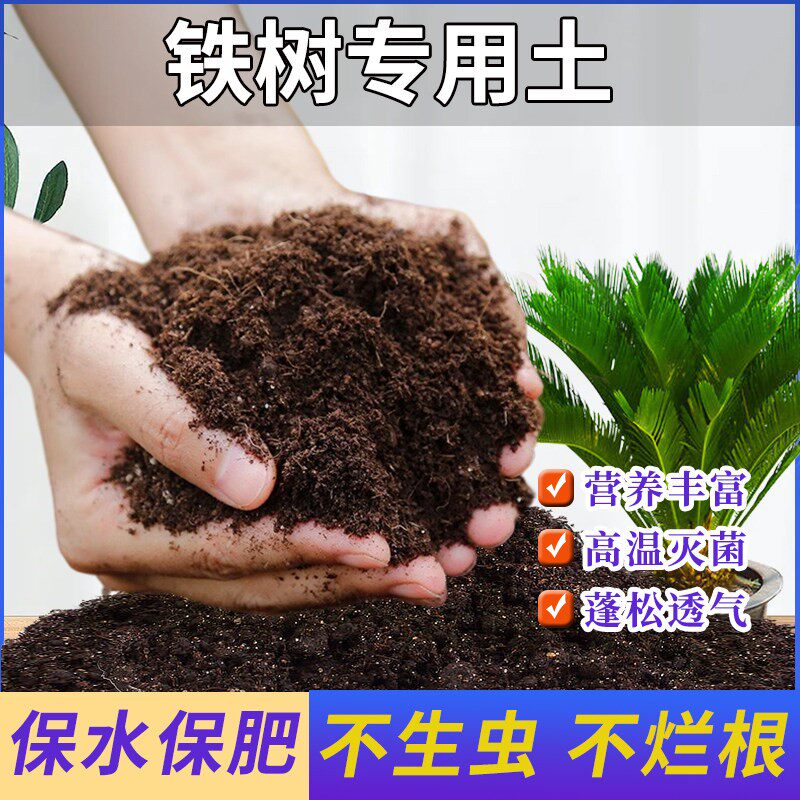 铁树专用土盆栽盆景营养土家用园艺酸性沙质土壤通用绿植种植肥料
