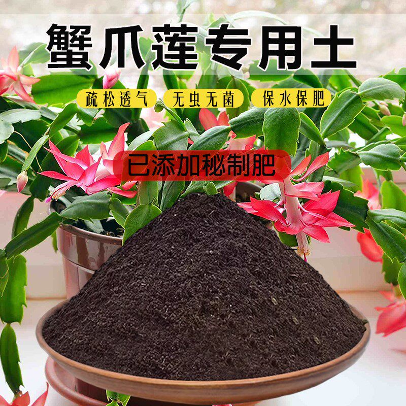 蟹爪莲专用土蟹爪兰专用营养土透气有机土种植土阳台通用土肥料土