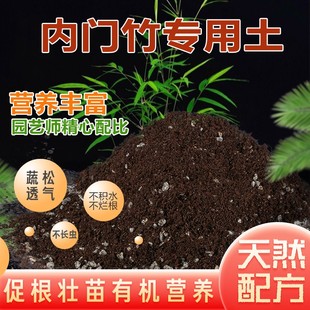 内门竹专用土内门竹土盆栽酸性沙质泥炭红土壤透气营养土种植肥料