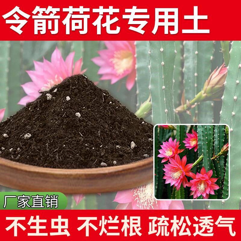 令箭荷花专用土室内养花专用土泥土种花土壤有机土花园种植花卉